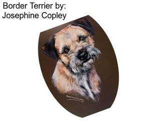 Border Terrier by: Josephine Copley