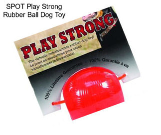 SPOT Play Strong Rubber Ball Dog Toy