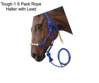 Tough-1 6 Pack Rope Halter with Lead