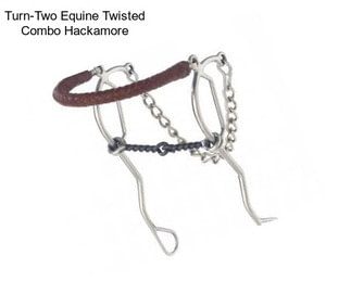 Turn-Two Equine Twisted Combo Hackamore