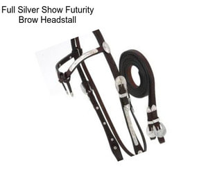 Full Silver Show Futurity Brow Headstall