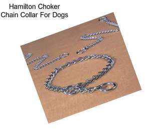 Hamilton Choker Chain Collar For Dogs