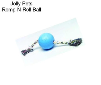 Jolly Pets Romp-N-Roll Ball