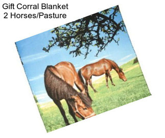 Gift Corral Blanket 2 Horses/Pasture