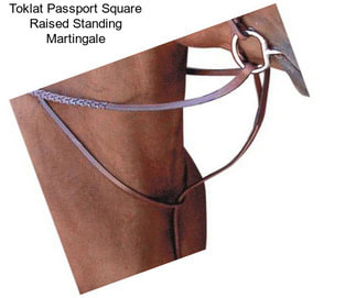 Toklat Passport Square Raised Standing Martingale