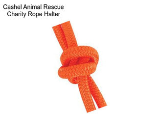 Cashel Animal Rescue Charity Rope Halter