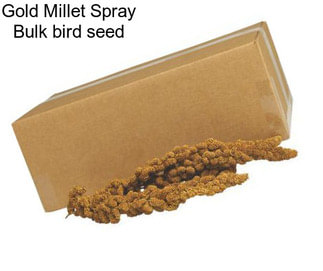 Gold Millet Spray Bulk bird seed