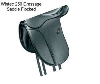 Wintec 250 Dressage Saddle Flocked