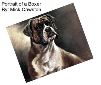 Portrait of a Boxer By: Mick Cawston