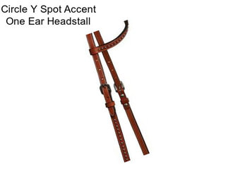 Circle Y Spot Accent One Ear Headstall