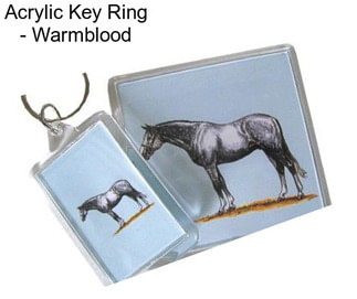 Acrylic Key Ring - Warmblood