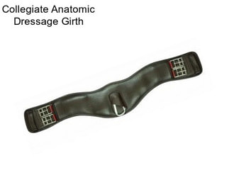 Collegiate Anatomic Dressage Girth