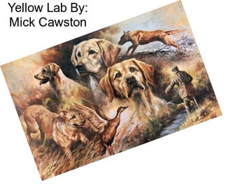 Yellow Lab By: Mick Cawston