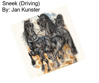 Sneek (Driving) By: Jan Kunster