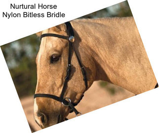 Nurtural Horse Nylon Bitless Bridle