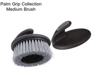Palm Grip Collection Medium Brush