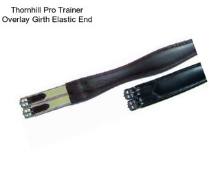 Thornhill Pro Trainer Overlay Girth Elastic End