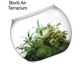 Biorb Air Terrarium