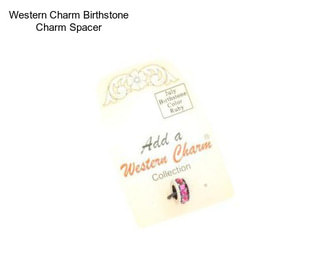 Western Charm Birthstone Charm Spacer