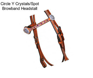 Circle Y Crystals/Spot Browband Headstall