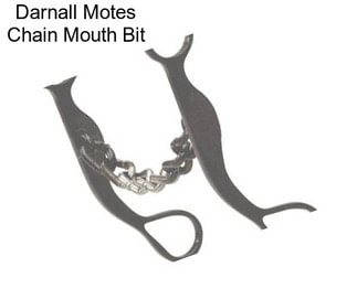 Darnall Motes Chain Mouth Bit