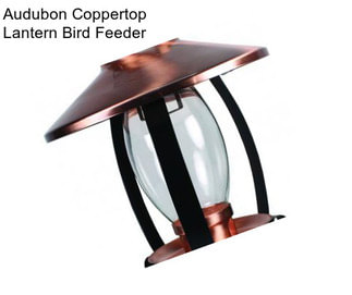 Audubon Coppertop Lantern Bird Feeder