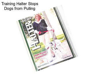 Training Halter Stops Dogs from Pulling