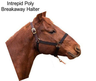 Intrepid Poly Breakaway Halter