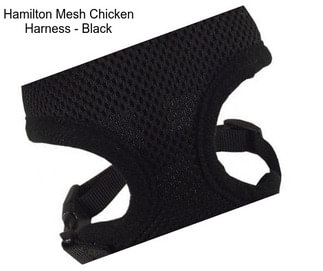 Hamilton Mesh Chicken Harness - Black