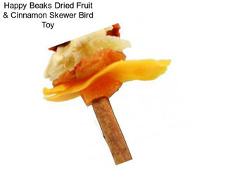 Happy Beaks Dried Fruit & Cinnamon Skewer Bird Toy