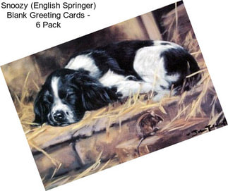 Snoozy (English Springer) Blank Greeting Cards - 6 Pack