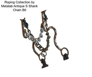 Roping Collection by Metalab Antique S Shank Chain Bit