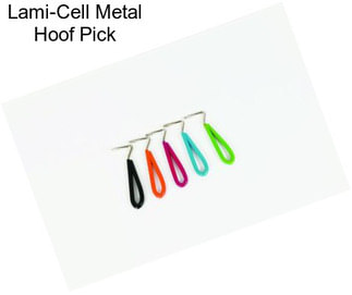 Lami-Cell Metal Hoof Pick