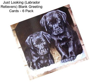 Just Looking (Labrador Retievers) Blank Greeting Cards - 6 Pack