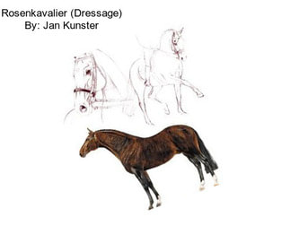 Rosenkavalier (Dressage) By: Jan Kunster