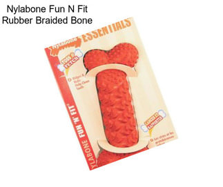 Nylabone Fun N Fit Rubber Braided Bone