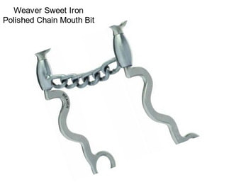 Weaver Sweet Iron Polished Chain Mouth Bit