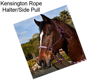 Kensington Rope Halter/Side Pull