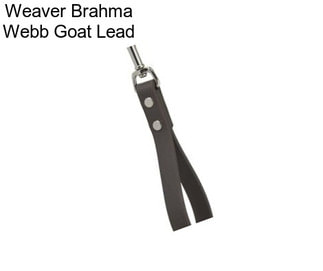 Weaver Brahma Webb Goat Lead