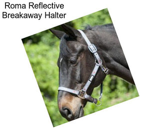 Roma Reflective Breakaway Halter