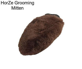 HorZe Grooming Mitten