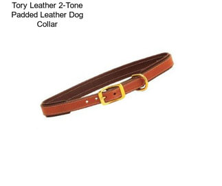 Tory Leather 2-Tone Padded Leather Dog Collar