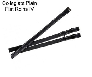 Collegiate Plain Flat Reins IV