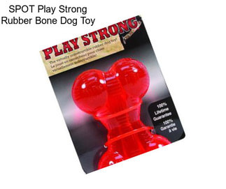 SPOT Play Strong Rubber Bone Dog Toy