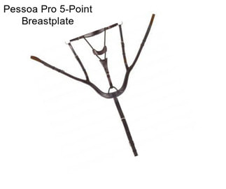 Pessoa Pro 5-Point Breastplate