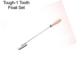 Tough-1 Tooth Float Set