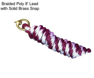 Braided Poly 8\' Lead with Solid Brass Snap