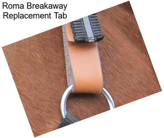 Roma Breakaway Replacement Tab