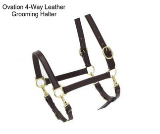 Ovation 4-Way Leather Grooming Halter