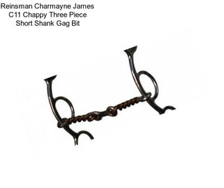 Reinsman Charmayne James C11 Chappy Three Piece Short Shank Gag Bit